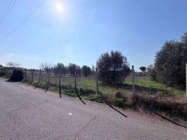 Terreno in vendita a Frascati RM