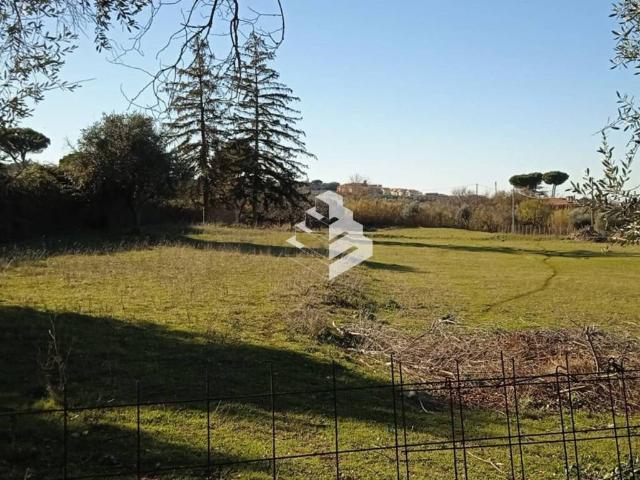 Terreno in vendita a Frascati RM