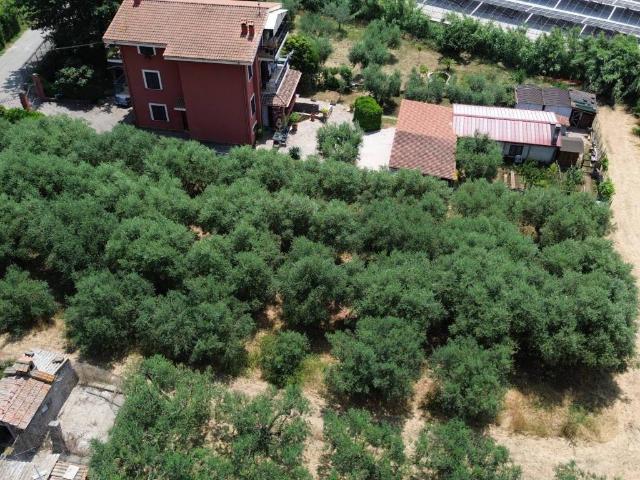 Terreno in vendita a Frascati RM