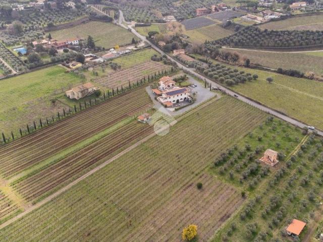 Terreno in vendita a Frascati RM