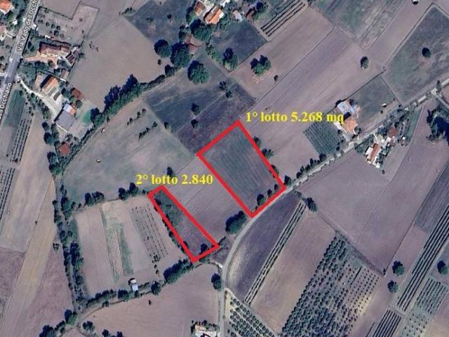 Terreno in vendita a Frigento AV