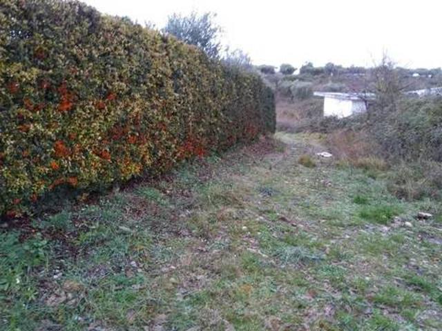 Terreno in vendita a Frisa CH