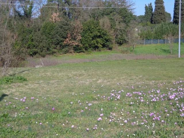 Terreno in vendita a Fucecchio FI