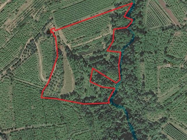 Terreno in vendita a Gambellara VI