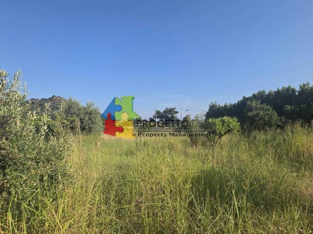 Terreno in vendita a Gaggi ME