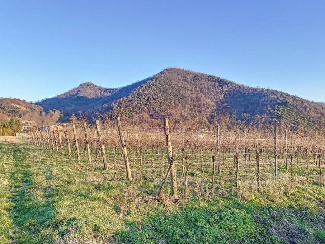 Terreno in vendita a Galzignano Terme PD