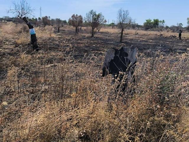 Terreno in vendita a Galatone LE