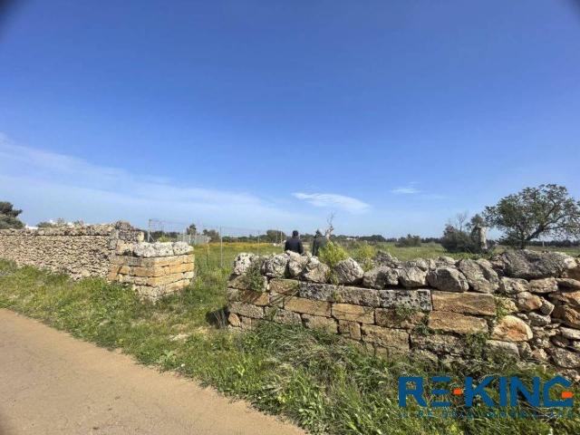 Terreno in vendita a Galatone LE