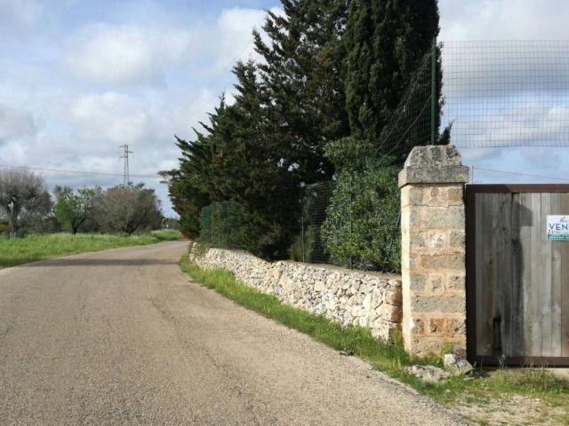 Terreno in vendita a Galatone LE