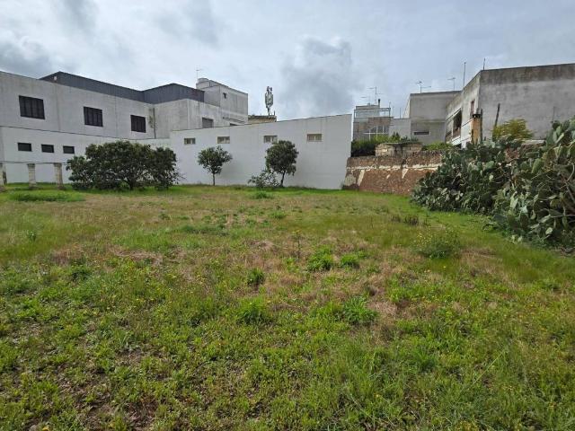 Terreno in vendita a Galatone LE