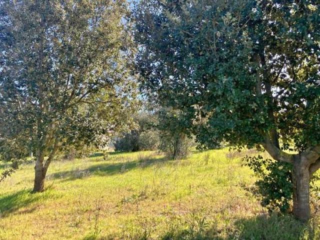Terreno in vendita a Galatina LE