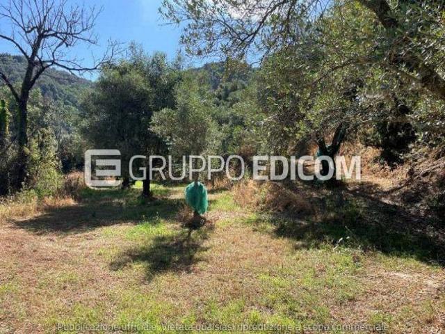 Terreno in vendita a Galatro Rif. 4555071