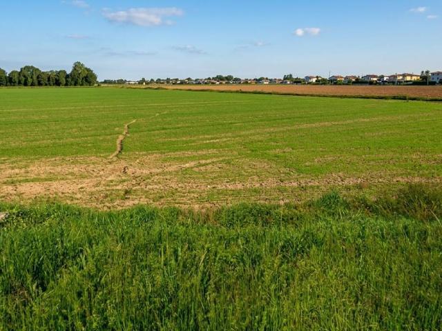 Terreno in vendita a Galliera Veneta PD