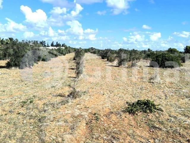 Terreno in vendita a Gallipoli LE