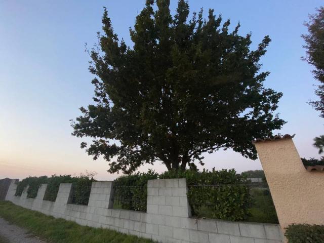 Terreno in vendita a Garlasco PV