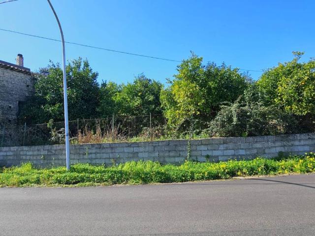 Terreno in vendita a Gasperina CZ