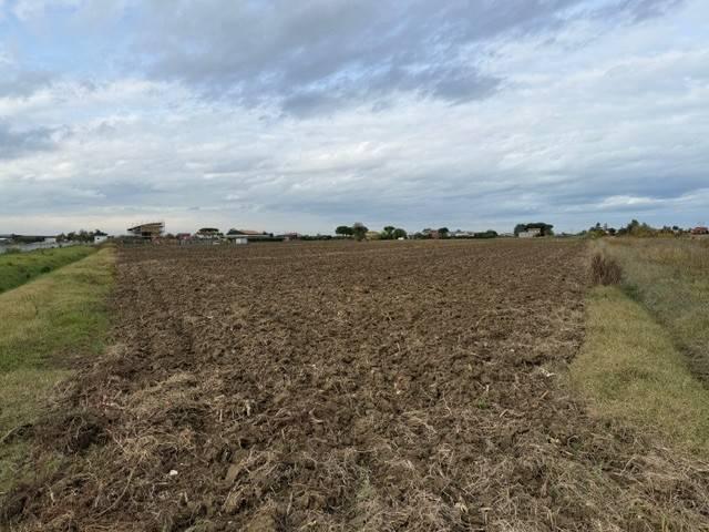 Terreno in vendita a Gatteo FC