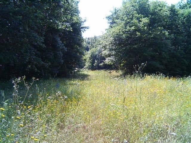 Terreno in vendita a Gavorrano GR