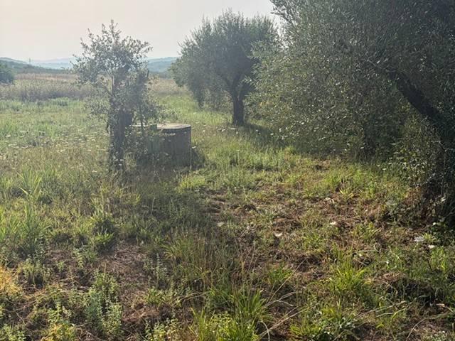 Terreno in vendita a Gavorrano GR