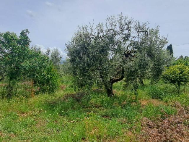 Terreno in vendita a Genzano di Roma RM