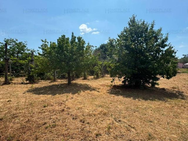 Terreno in vendita a Genzano di Roma RM