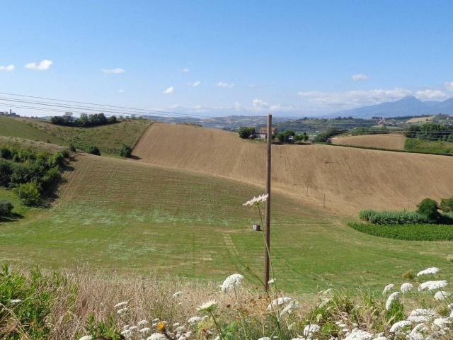 Terreno in vendita a Genazzano RM