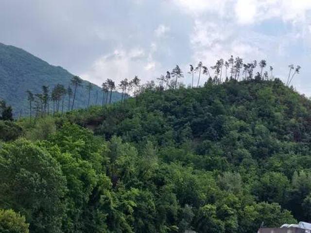 Terreno in vendita a Genova GE