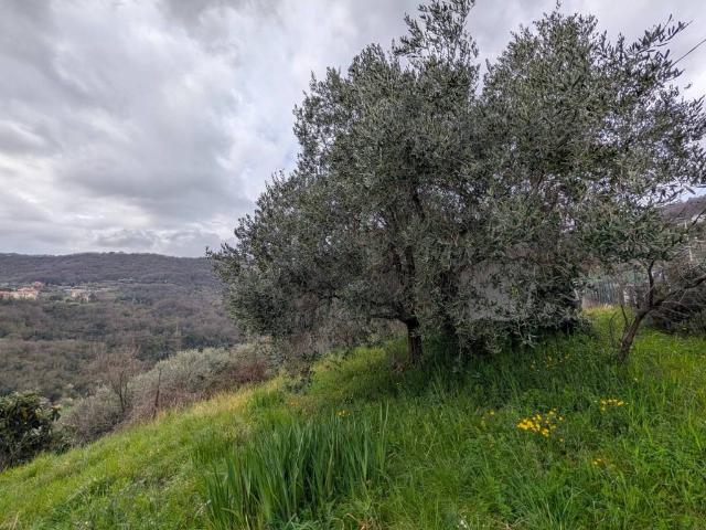 Terreno in vendita a Genova GE