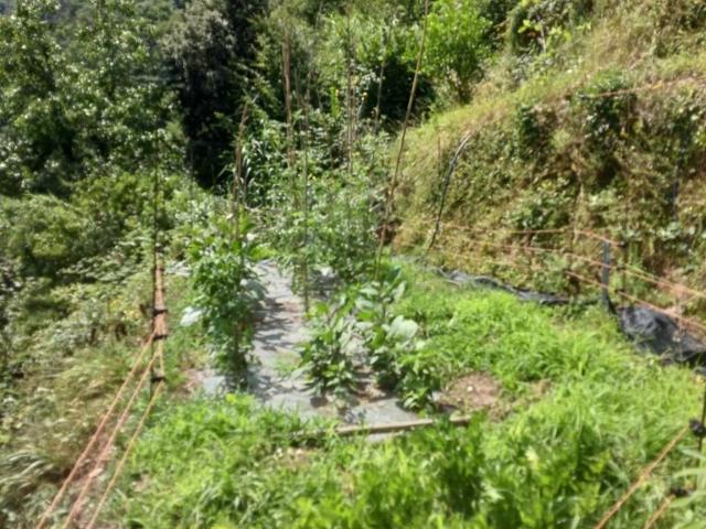 Terreno in vendita a Genova GE