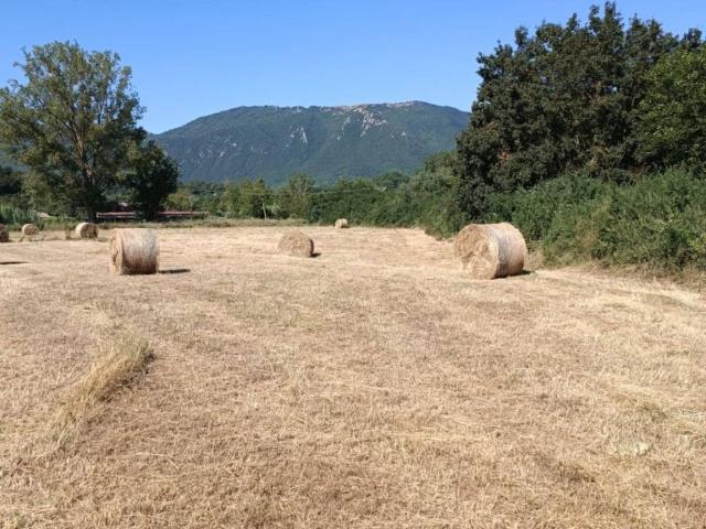 Terreno in vendita a Gerano RM