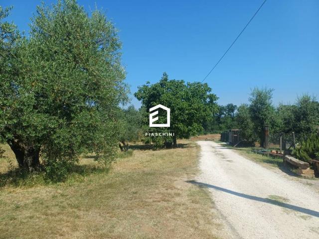 Terreno in vendita a Giove TR
