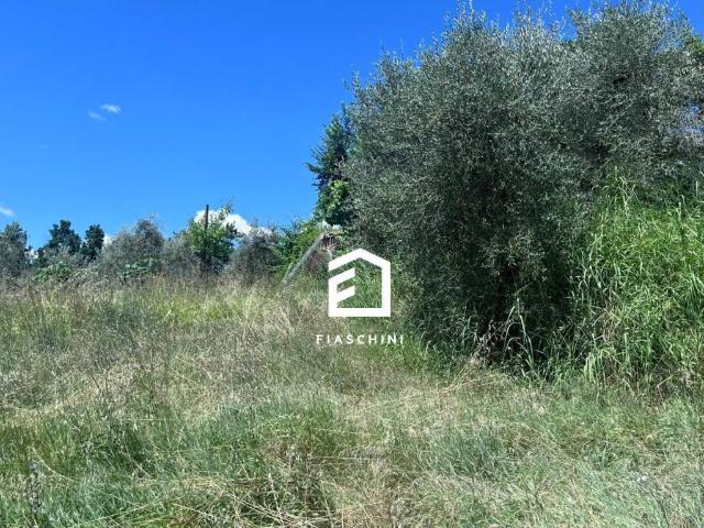 Terreno in vendita a Giove TR