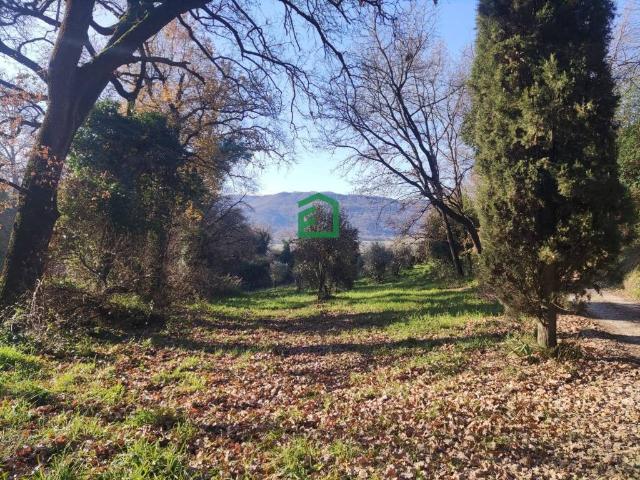 Terreno in vendita a Giove TR
