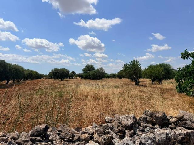 Terreno in vendita a Gioia del Colle BA