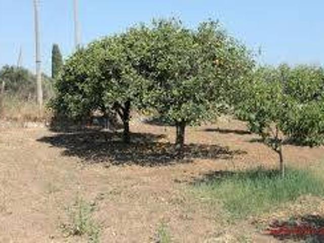 Terreno in vendita a Giarre CT