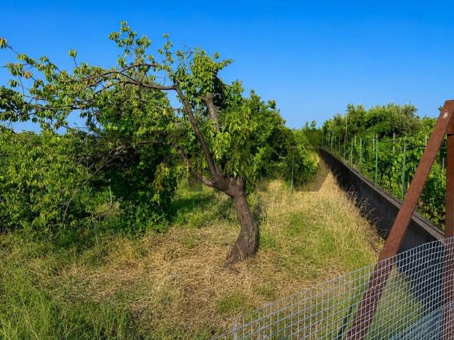 Terreno in vendita a Giarre CT