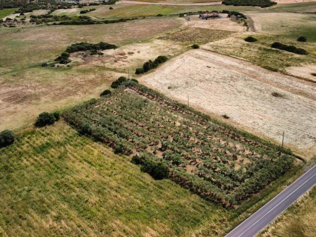 Terreno in vendita a Giba SU