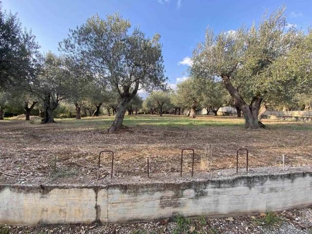 Terreno in vendita a Giffoni Valle Piana SA