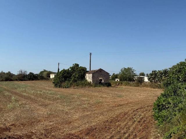 Terreno in vendita a Giuggianello LE