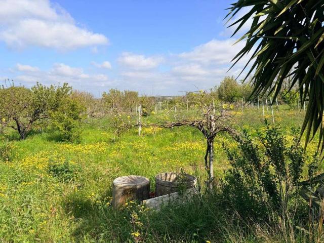 Terreno in vendita a Giugliano in Campania NA
