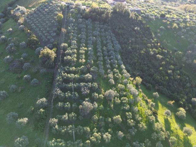 Terreno in vendita a Giungano SA