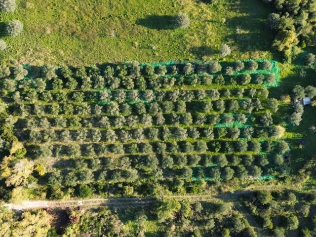 Terreno in vendita a Giungano SA