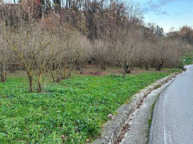 Terreno in vendita a Grottolella AV