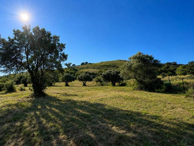 Terreno in vendita a Grottaferrata RM