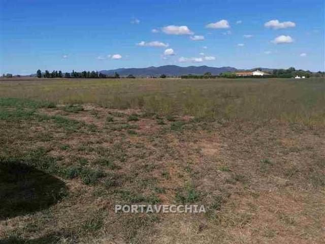 Terreno in vendita a Grosseto