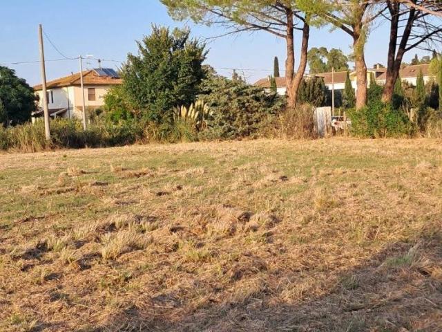 Terreno in vendita a Grosseto GR