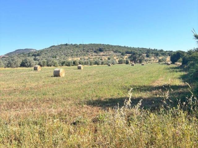 Terreno in vendita a Grosseto GR