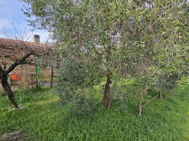 Terreno in vendita a Grosseto GR