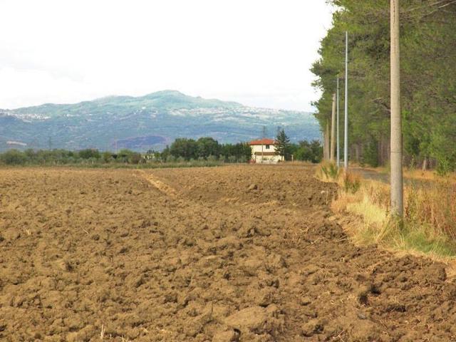 Terreno in vendita a Grosseto GR