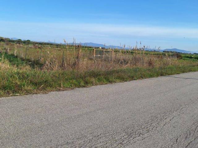 Terreno in vendita a Grosseto GR